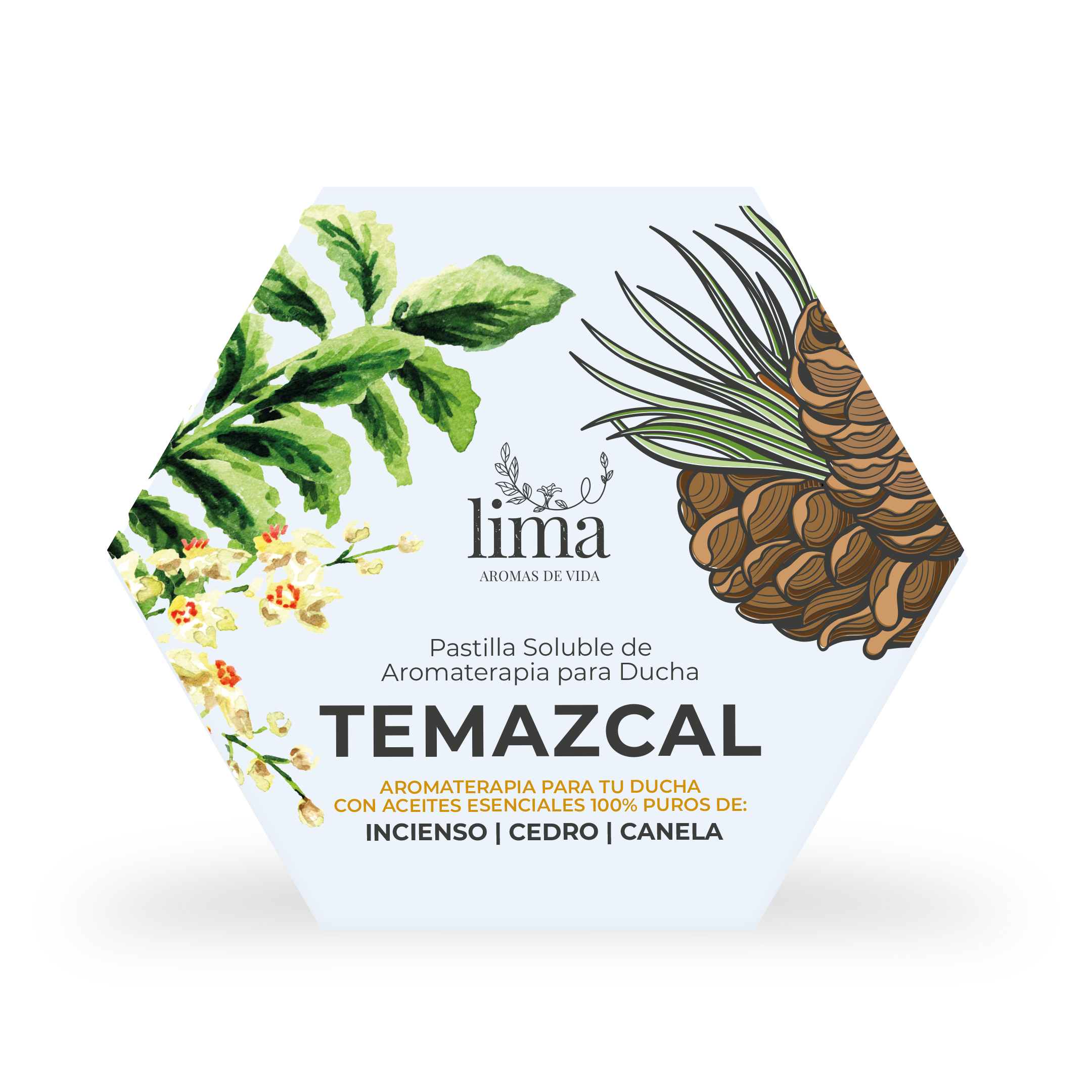 Bomba para Regadera Lima Aromaterapia 120 g