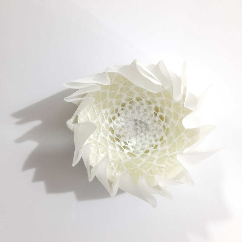 Bomba para Regadera Lima Aromaterapia 120 g