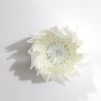 Bomba para Regadera Lima Aromaterapia 120 g