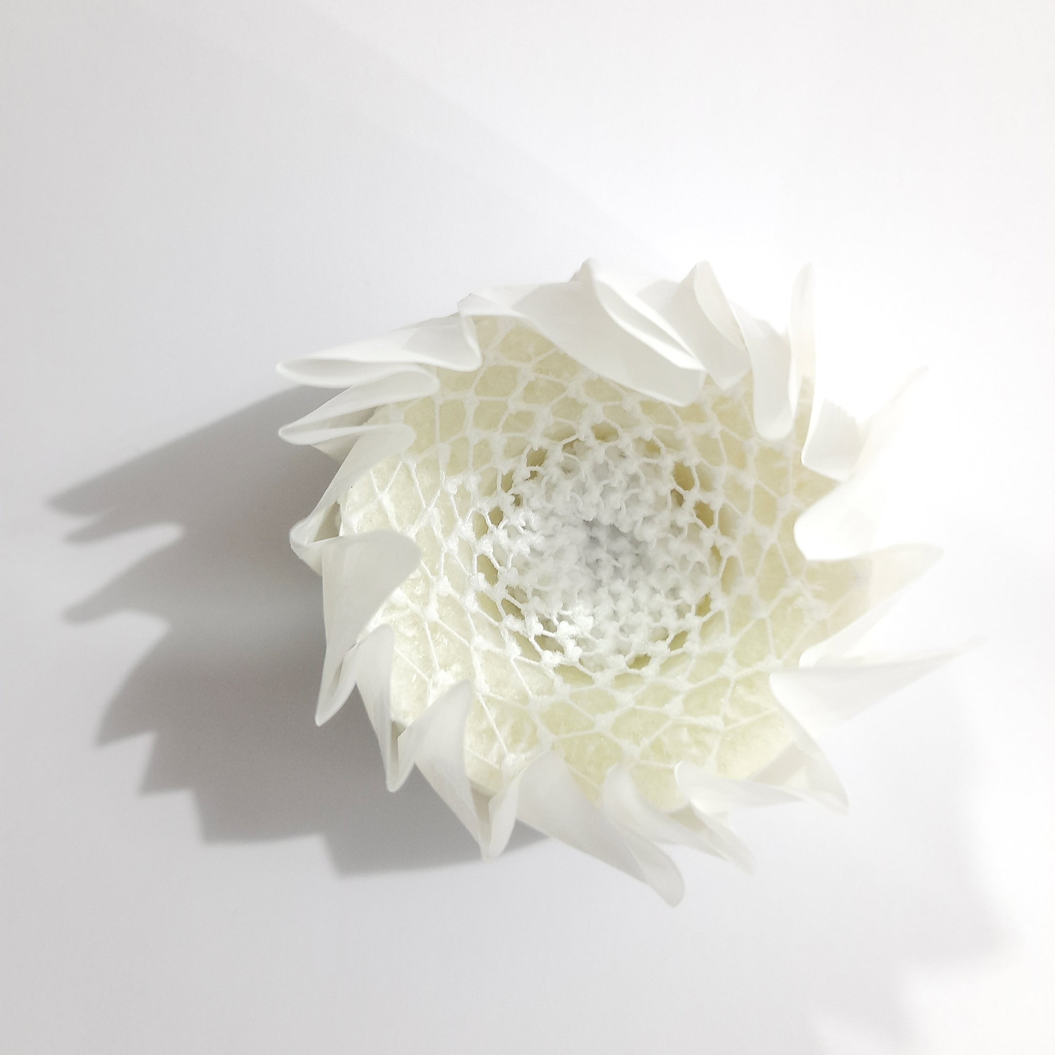 Bomba para Regadera Lima Aromaterapia 120 g